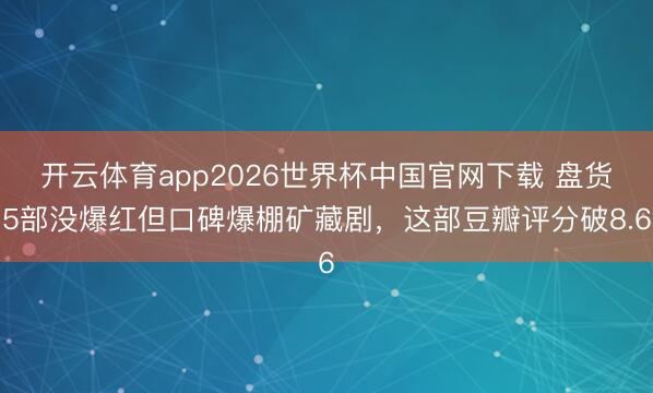 开云体育app2026世界杯中国官网下载 盘货5部没爆红但口碑爆棚矿藏剧，这部豆瓣评分破8.6